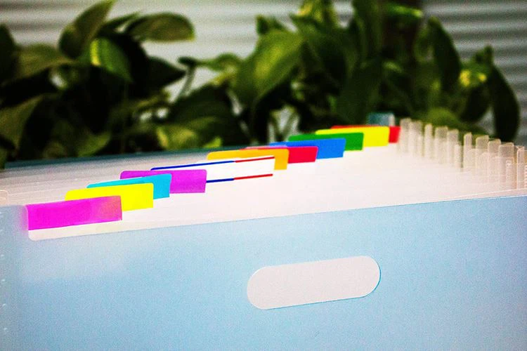 Cute Film Index Sticky Notes 2