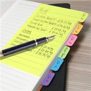 Divider Lined Sticky Notes Pads